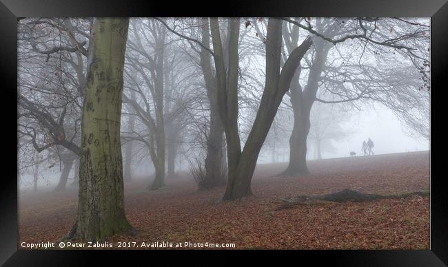 A foggy morning Framed Print by Peter Zabulis