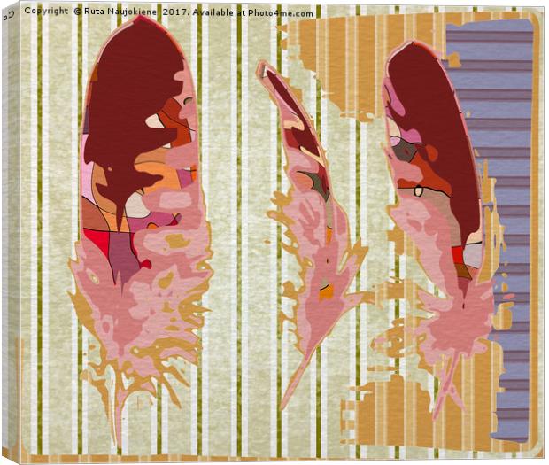 Three Feathers Canvas Print by Ruta Naujokiene