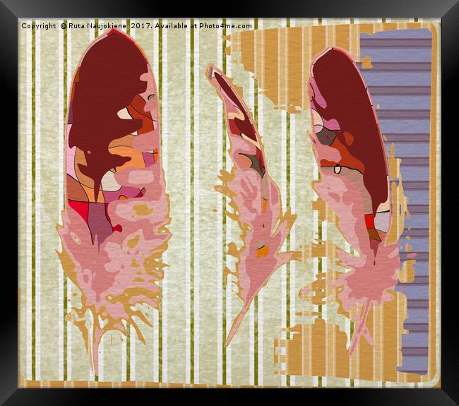 Three Feathers Framed Print by Ruta Naujokiene