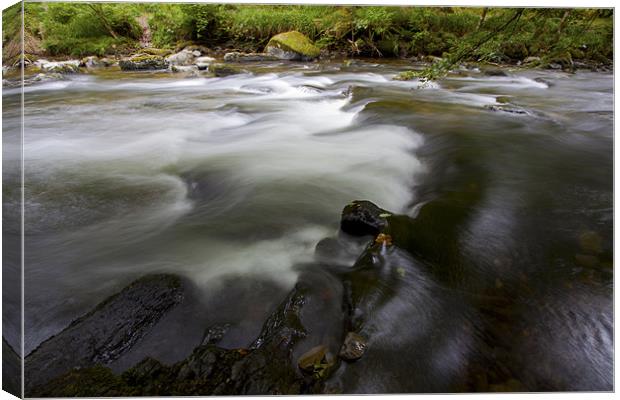White Waters Canvas Print by Mike Gorton