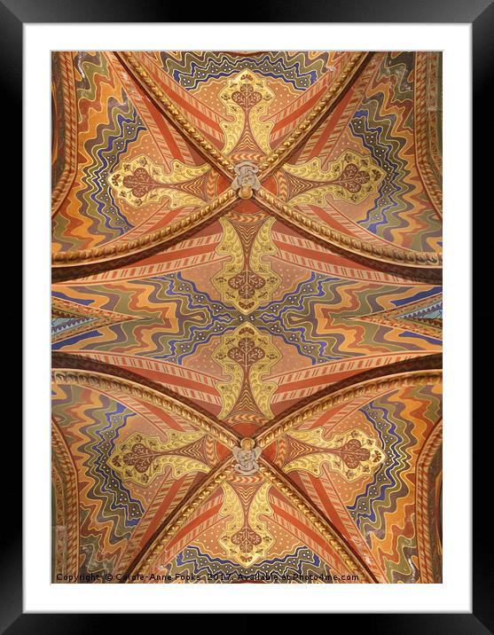 Ceiling Pattern Framed Mounted Print by Carole-Anne Fooks