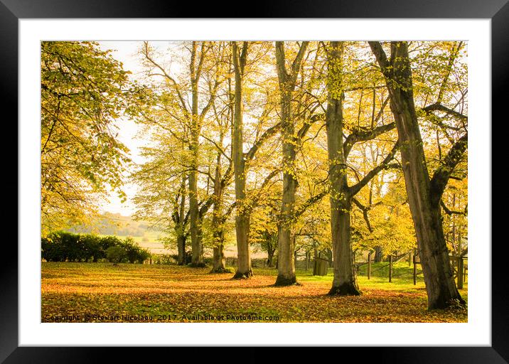 Autumnal Woodland Walk Framed Mounted Print by Stewart Nicolaou