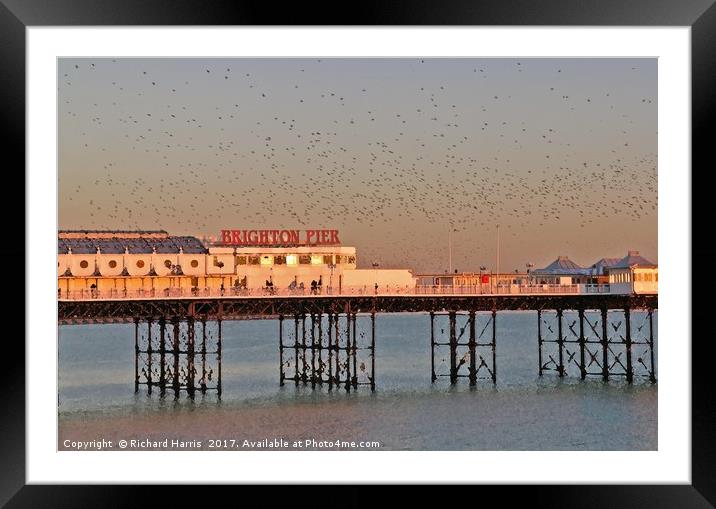 Starlings over Brighton Pier Framed Mounted Print by Richard Harris