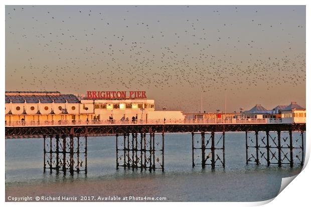 Starlings over Brighton Pier Print by Richard Harris