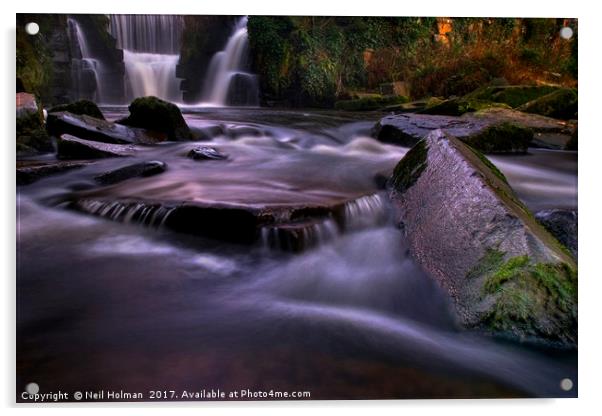 Penllergaer Waterfall Acrylic by Neil Holman