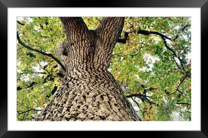 Mysterious tree Framed Mounted Print by michelle rook