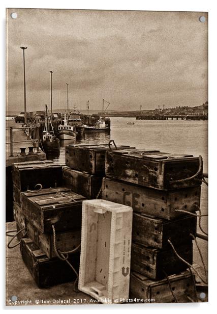 Vintage Stromness quayside Acrylic by Tom Dolezal