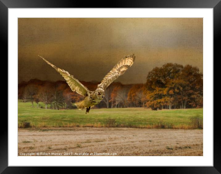 Eagle Owl Hunting Framed Mounted Print by Robert Murray