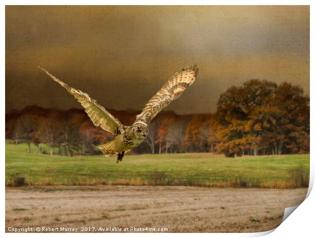 Eagle Owl Hunting Print by Robert Murray
