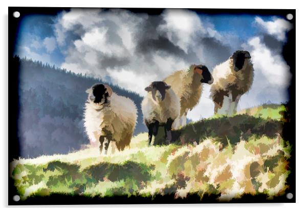 Four sheep Acrylic by Keith Douglas