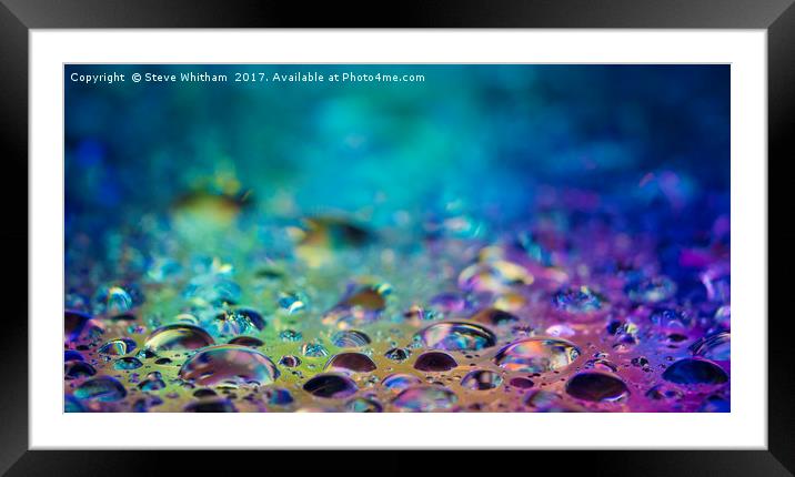 Drops of water lit from below  Framed Mounted Print by Steve Whitham