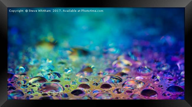 Drops of water lit from below  Framed Print by Steve Whitham