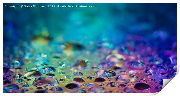 Drops of water lit from below  Print by Steve Whitham