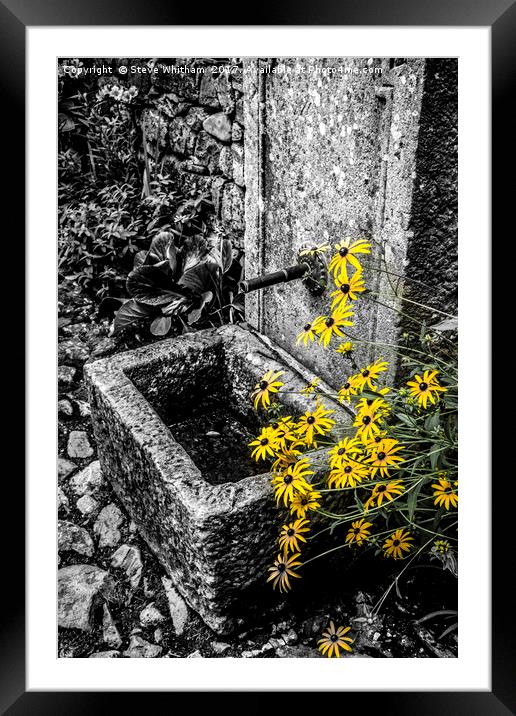 Stone trough with colour selected flowers Framed Mounted Print by Steve Whitham