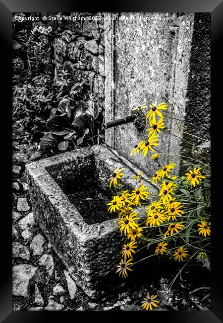 Stone trough with colour selected flowers Framed Print by Steve Whitham