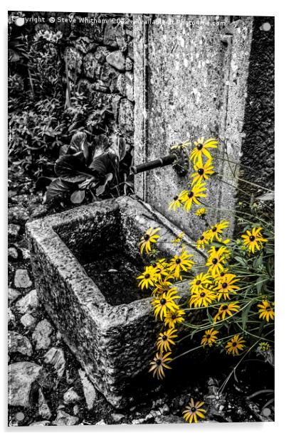 Stone trough with colour selected flowers Acrylic by Steve Whitham