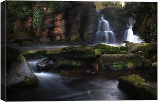 Penllergare Waterfalls Canvas Print by Leighton Collins