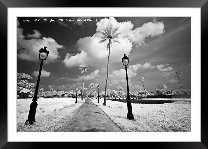 City of Hue - Vietnam Framed Mounted Print by Phil Wingfield