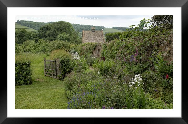 Snowhill Manor garden, Snowshill, UK Framed Mounted Print by Pauline Tims