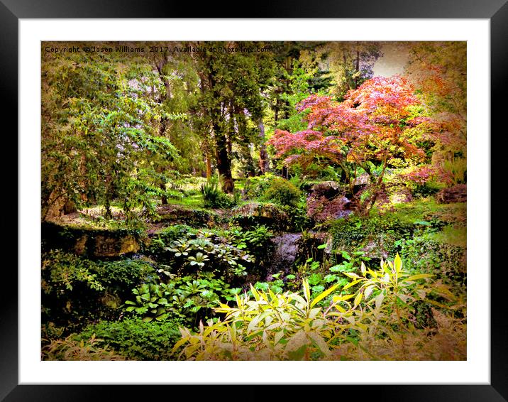 Arboretum (Textured) Framed Mounted Print by Jason Williams