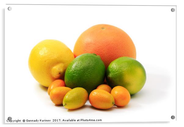 citrus fruits Acrylic by Gennady Kurinov