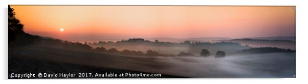 Early Morning at Newlands Corner Acrylic by David Haylor