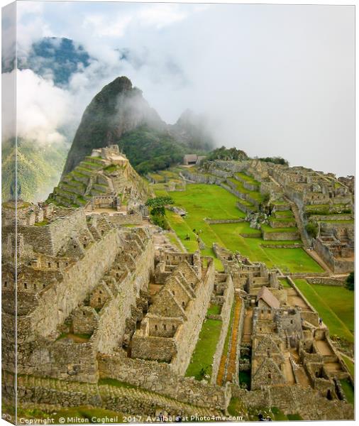 Machu Picchu Canvas Print by Milton Cogheil
