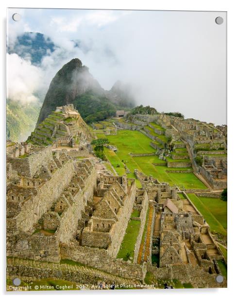 Machu Picchu Acrylic by Milton Cogheil