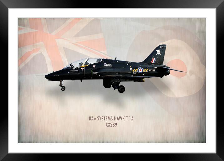 RAF Hawk T.1A XX289 Framed Mounted Print by J Biggadike
