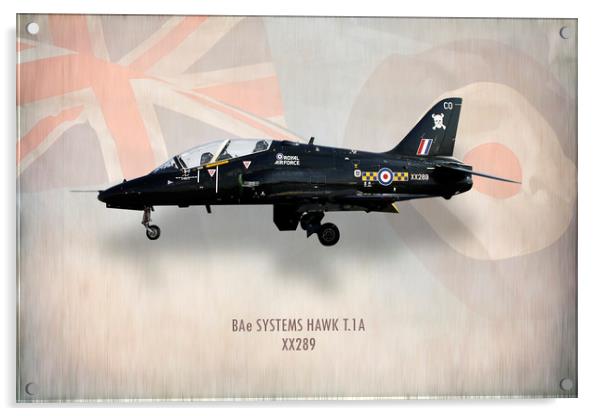RAF Hawk T.1A XX289 Acrylic by J Biggadike