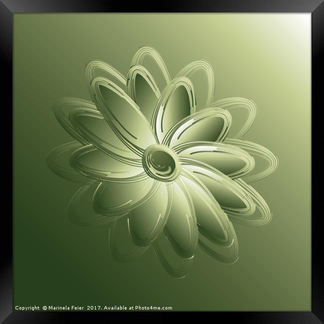 green petals Framed Print by Marinela Feier