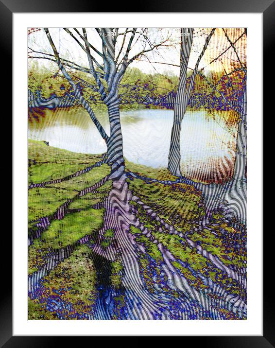Through The Trees Pattern Framed Mounted Print by Florin Birjoveanu