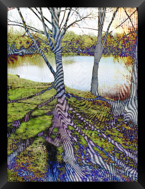 Through The Trees Pattern Framed Print by Florin Birjoveanu
