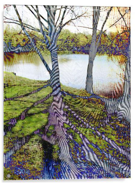 Through The Trees Pattern Acrylic by Florin Birjoveanu