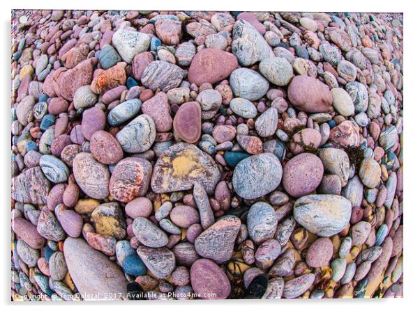 Fisheye pebbles Acrylic by Tom Dolezal