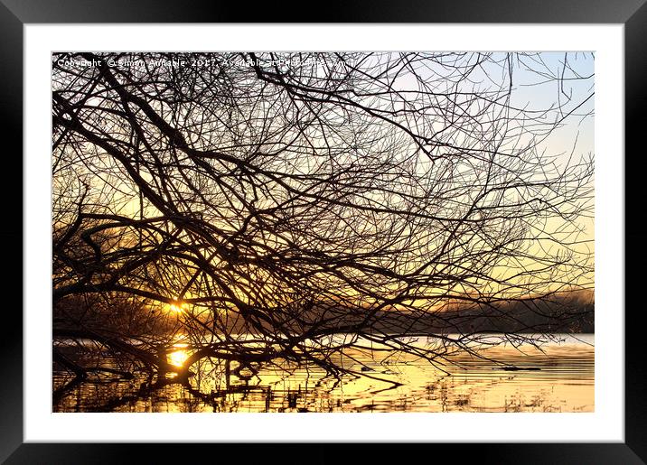 Winter Sunset Framed Mounted Print by Simon Annable