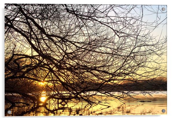 Winter Sunset Acrylic by Simon Annable