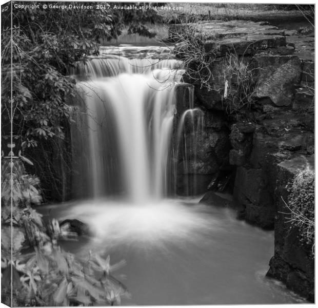 Armstrong's Falls (Mono) Canvas Print by George Davidson