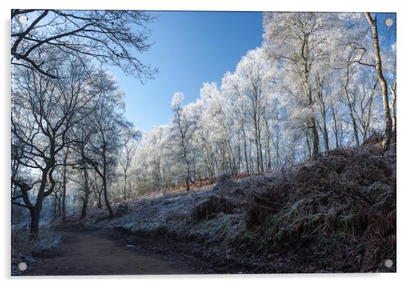 Winter on Cannock Chase Acrylic by Dan Kemsley