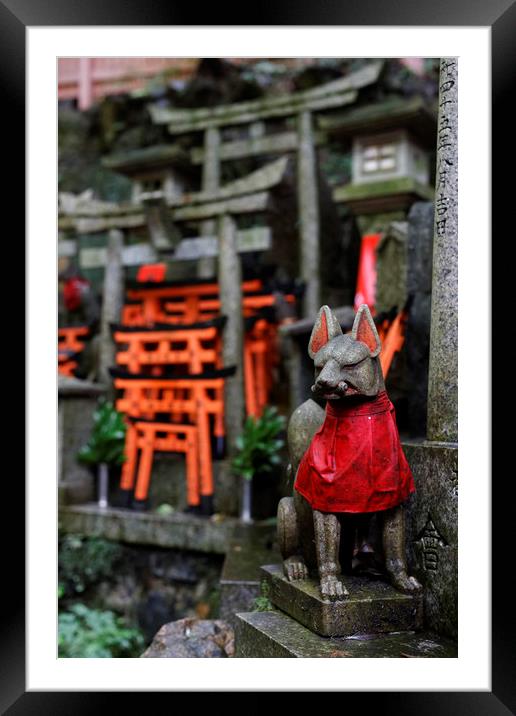 Japan Kyoto Fushima-Inari Shrine Framed Mounted Print by david harding