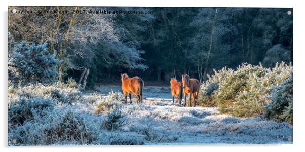 Horses in Winter sunlight Acrylic by Sue Knight