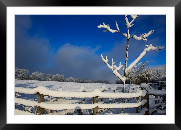 Winters Day Framed Mounted Print by Ian Jeffrey