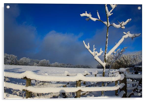 Winters Day Acrylic by Ian Jeffrey