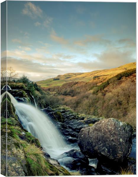 Loup of Fintry waterfall in Central Scotland. Canvas Print by Tommy Dickson