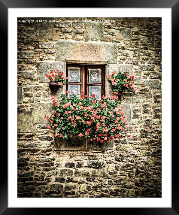Geraniums around a cottage window Framed Mounted Print by Steve Whitham
