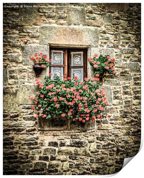 Geraniums around a cottage window Print by Steve Whitham