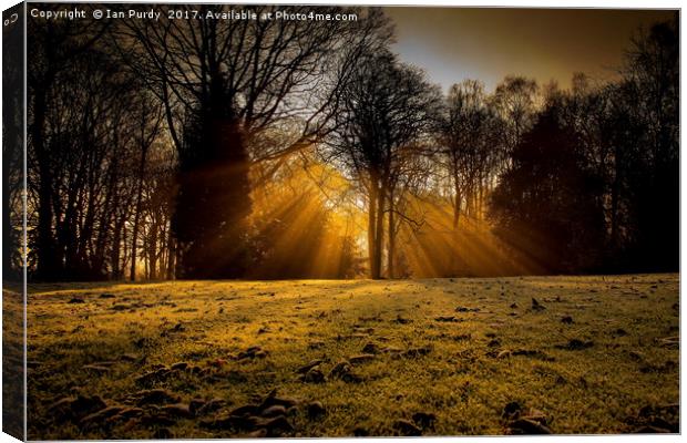 Winter rays Canvas Print by Ian Purdy