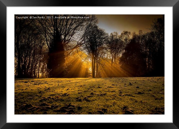 Winter rays Framed Mounted Print by Ian Purdy
