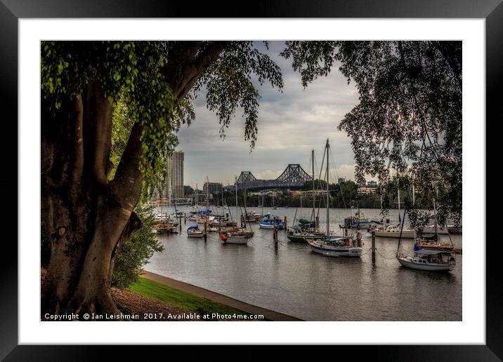 Brisbane Story Bridge through tree canopy Framed Mounted Print by Ian Leishman