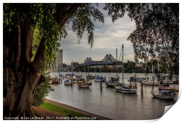 Brisbane Story Bridge through tree canopy Print by Ian Leishman